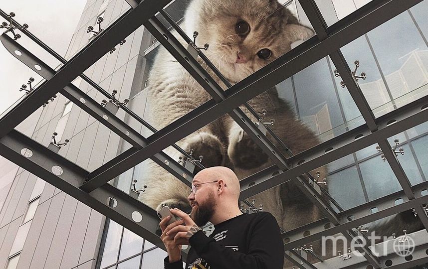 Кот рассматривает человека через стекло. Фото Скриншот Instagram/odnoboko, "Metro"