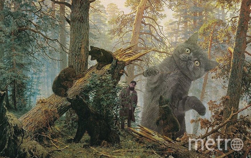 Андрей и его коты. Фото Скриншот Instagram/odnoboko, "Metro"