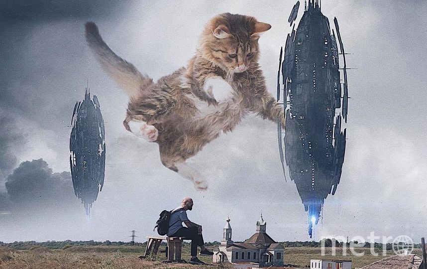 Космические пришельцы не испугали кота и Андрея. Фото Скриншот Instagram/odnoboko, "Metro"