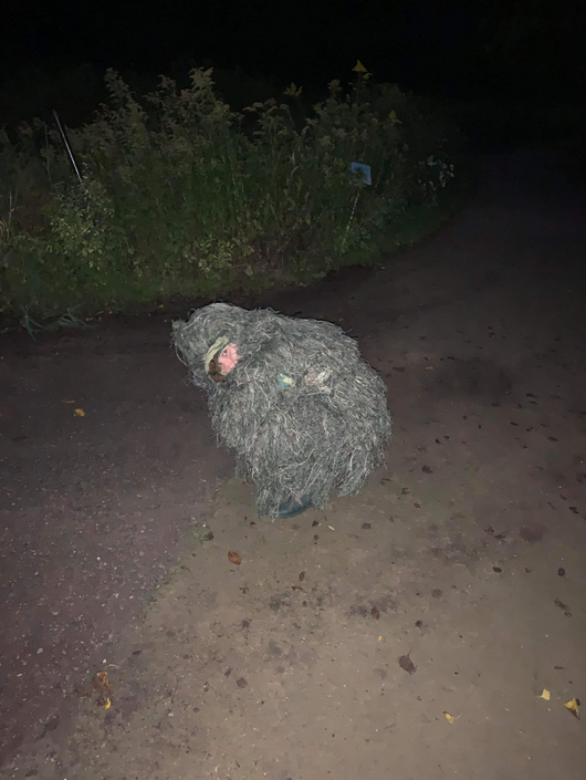 Американка притворилась кустом, чтобы сфотографировать, как её сестре делают предложение. Фото скриншот https://twitter.com/theresemerkel