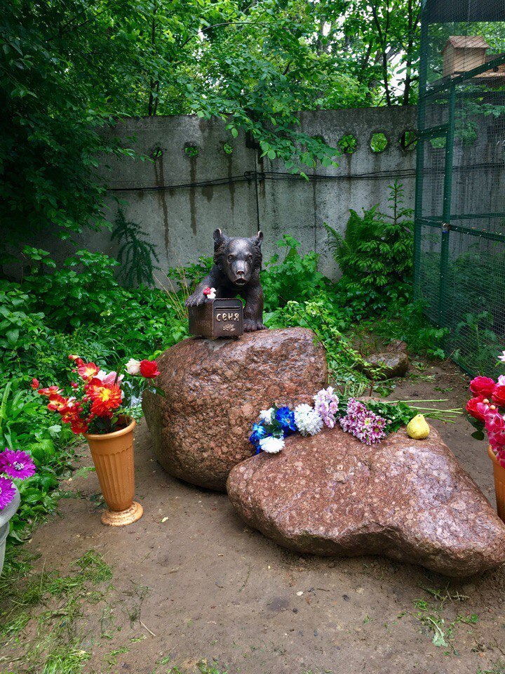 В приюте "Велес" поставили памятник медведю Сене