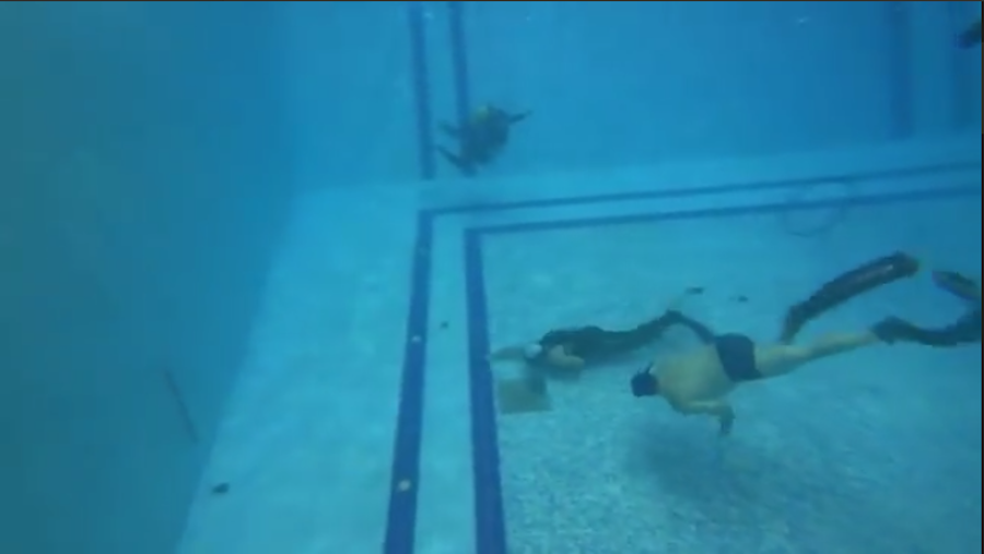 Фото с турнира. Фото Скриншот видео дайв-клуба 220BAR