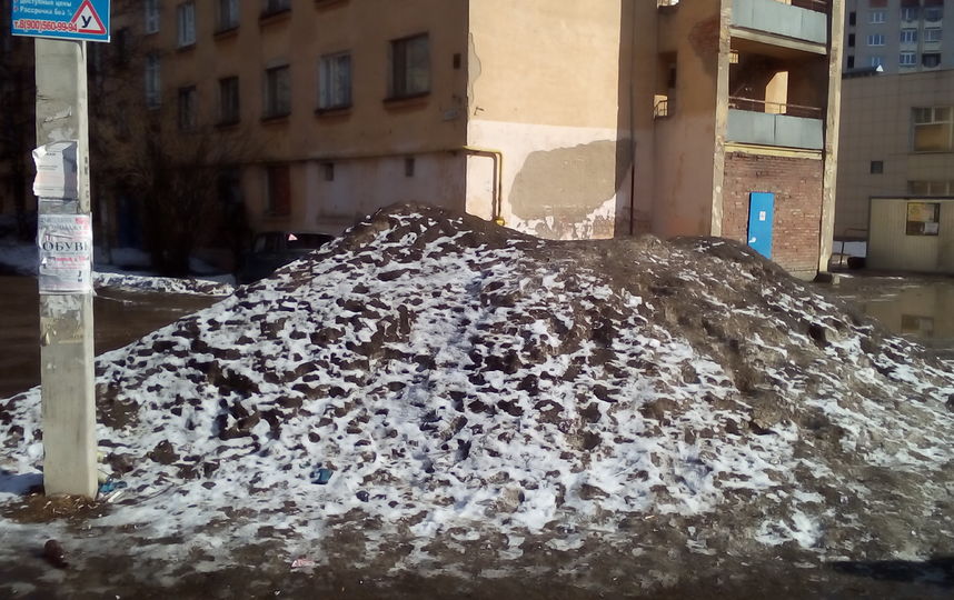 В Вологде уволили чиновника, который в мае искал снежный завал у остановки