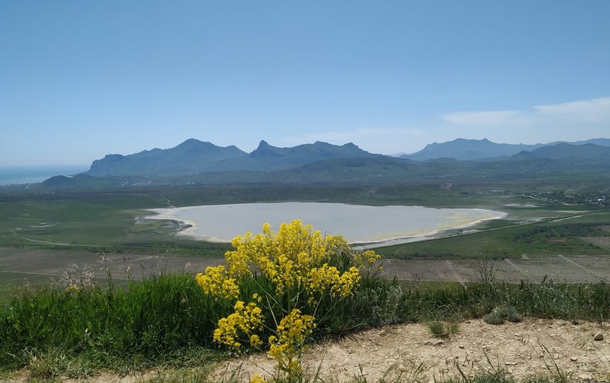 Крымчане рассказали, как справляются без туристов. Фото Ольга Кабанова