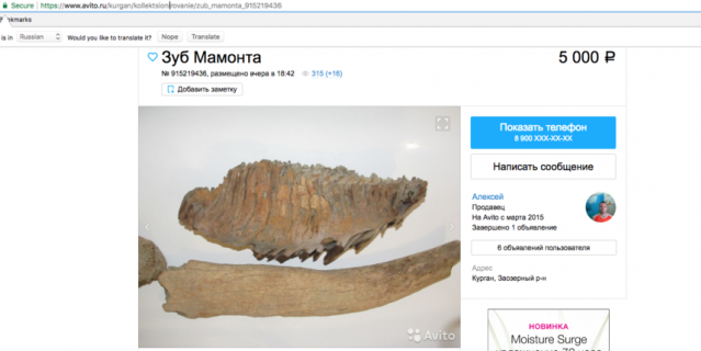 Оъявление о продаже костей мамонта на Avito.