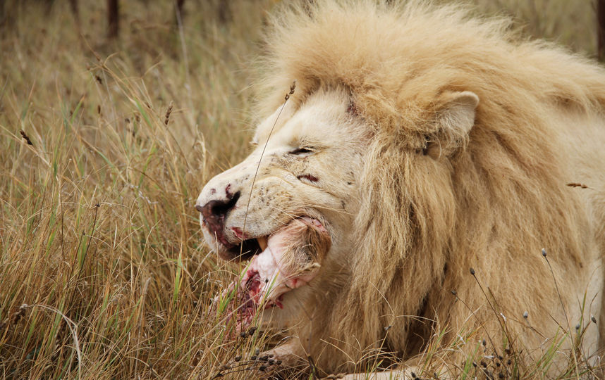 Архивное фото. Фото из личного архива Анастасии Кваши