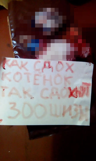 предоставлено ассоциацией "Зооправо".