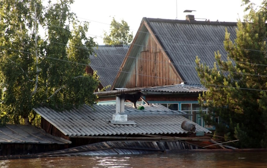 Последствия паводка в Тулуне. Фото РИА Новости