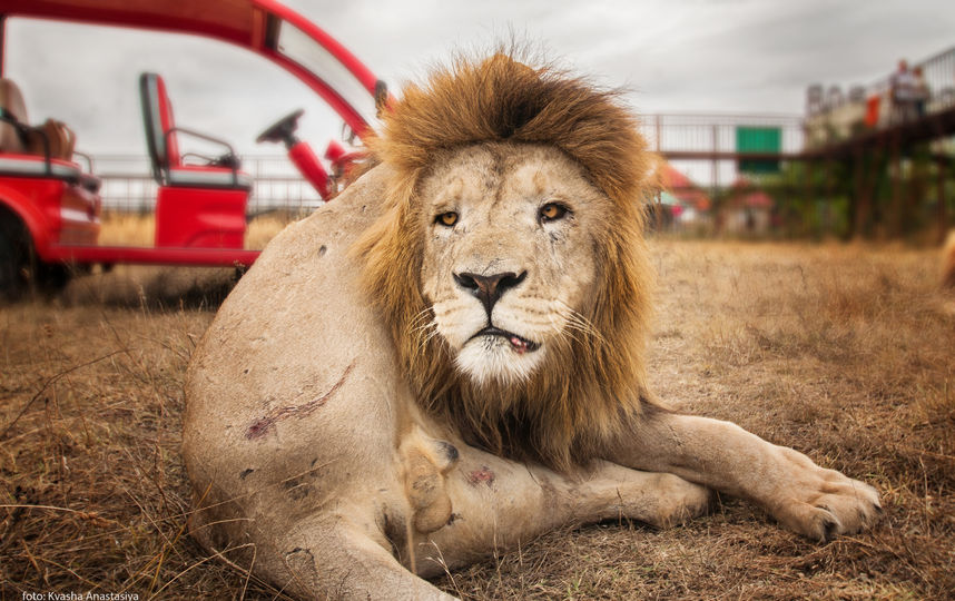 Архивное фото. Фото из личного архива Анастасии Кваши