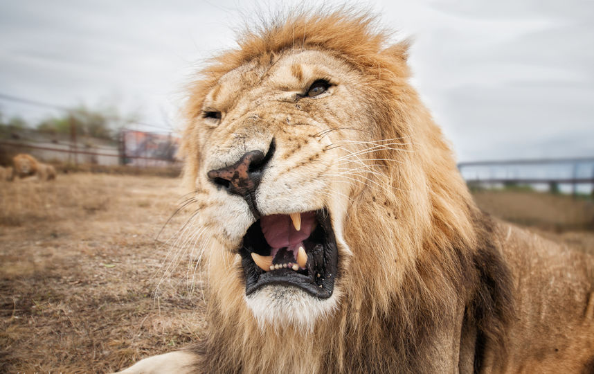 Архивное фото. Фото из личного архива Анастасии Кваши