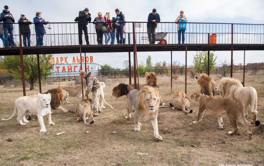 Архивное фото. Фото из личного архива Анастасии Кваши
