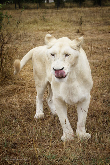 Архивное фото. Фото из личного архива Анастасии Кваши