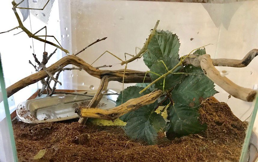 Архивное фото. Фото из личного архива Анастасии Кваши