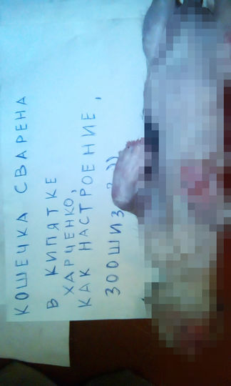 предоставлено ассоциацией "Зооправо".