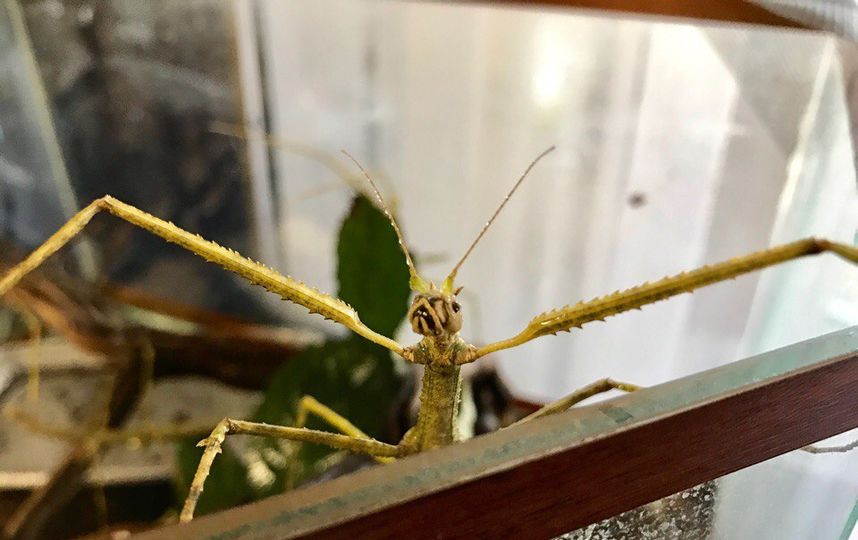 Архивное фото. Фото из личного архива Анастасии Кваши