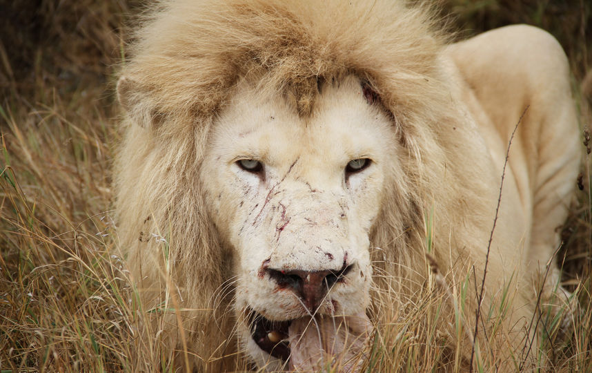 Архивное фото. Фото из личного архива Анастасии Кваши