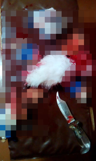 предоставлено ассоциацией "Зооправо".