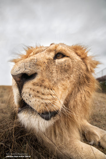 Архивное фото. Фото из личного архива Анастасии Кваши