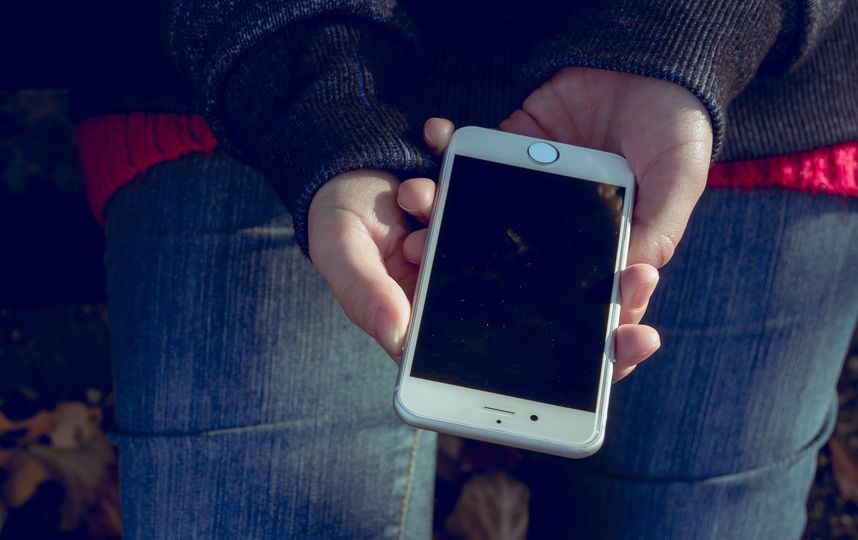 В комментариях к ролику один из пользователей представился сотрудником Apple и рассказал, что компания уже давно имеет такой механизм. Фото Pixabay