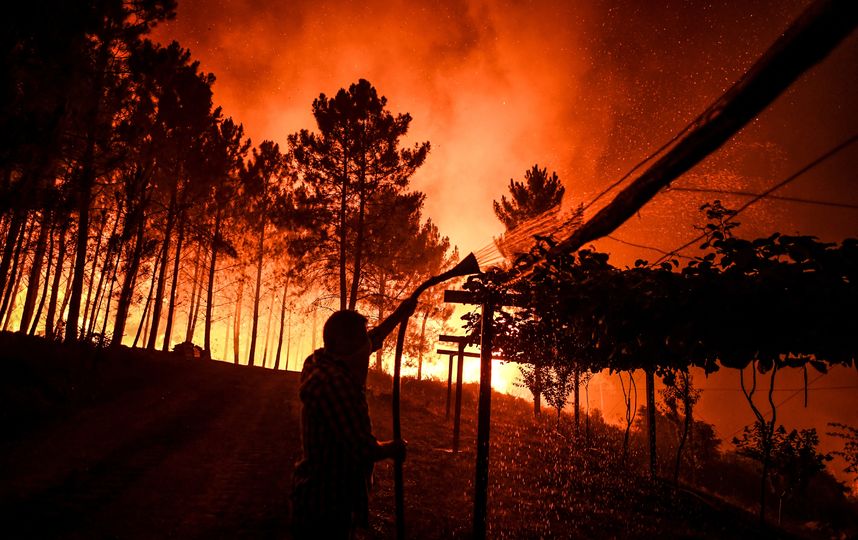 Более тысячи человек борется с лесными пожарами в Португалии