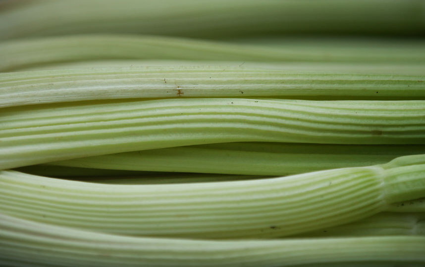 Сельдерей. Фото Getty