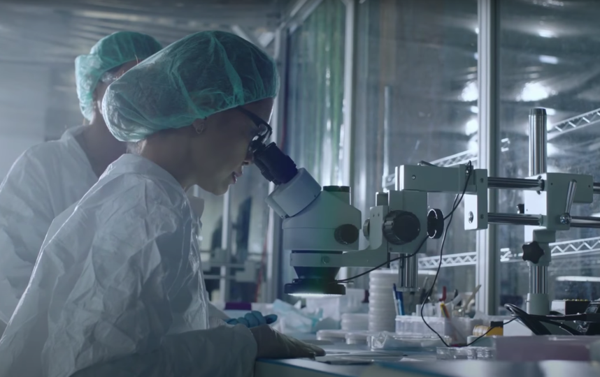 Микросхему детально разрабатывают с помощью микроскопов. Фото Скриншот презентации Neuralink, Скриншот Youtube