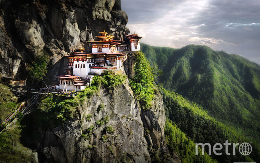 Автор фото: Дэвид Лазар. Фото "Metro"