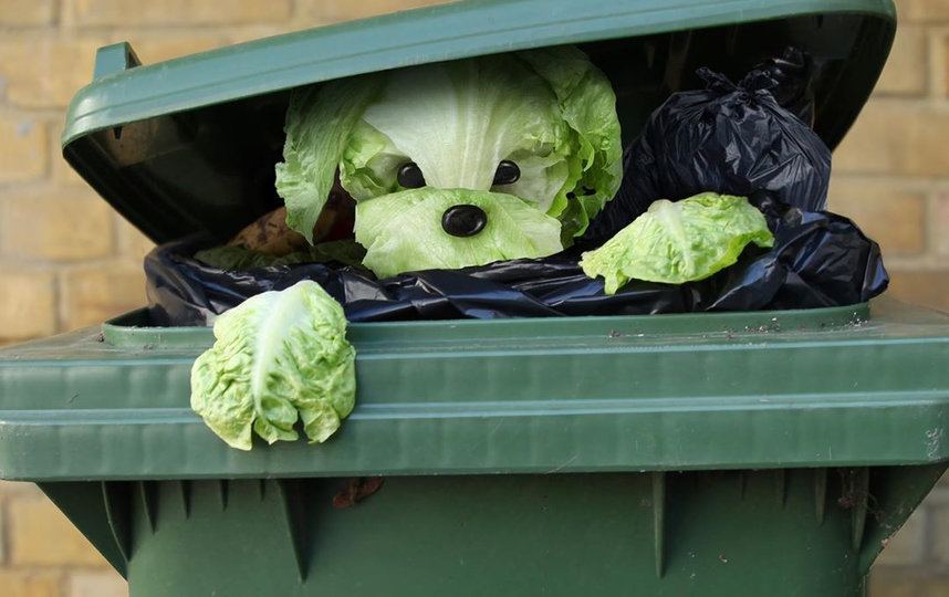 Работы Хельги вызывают умиление. Фото Instagram @made_by_helga