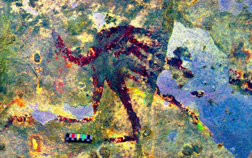 В Индонезии нашли наскальные рисунки, возраст которых составляет почти 44 тысячи лет. Фото AFP