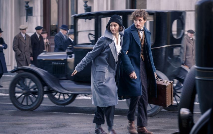 Кадры из фильма "Фантастические твари и где они обитают". Фото kinopoisk.ru