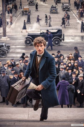 Кадры из фильма "Фантастические твари и где они обитают". Фото kinopoisk.ru