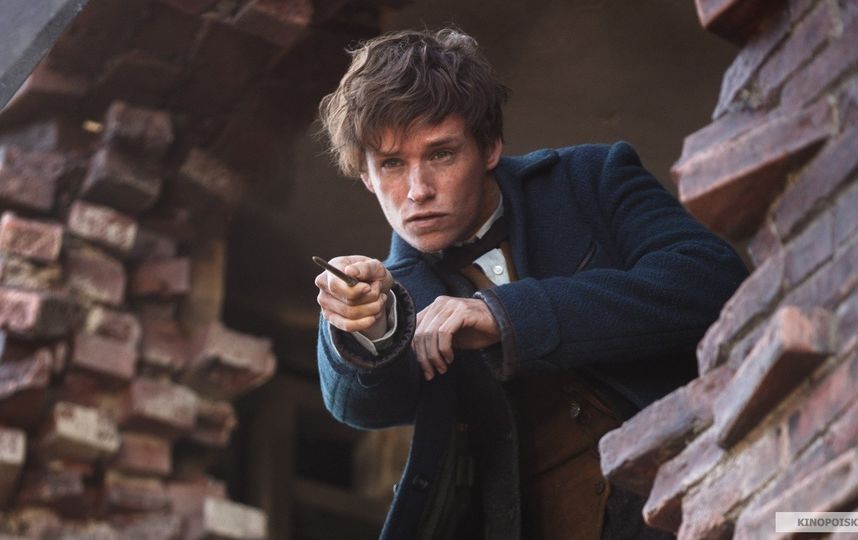 Кадры из фильма "Фантастические твари и где они обитают". Фото kinopoisk.ru