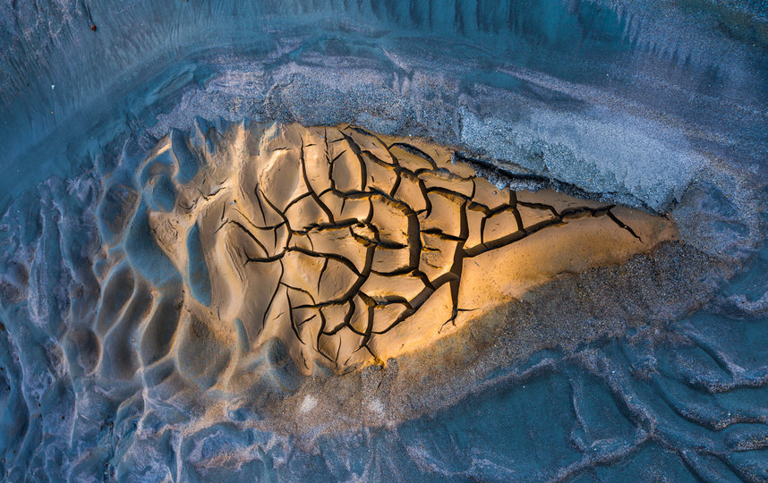 “Снегопад”, Хуан Гонзалес. Фото BIGPICTURE NATURAL WORLD PHOTOGRAPHY COMPETITION 2020