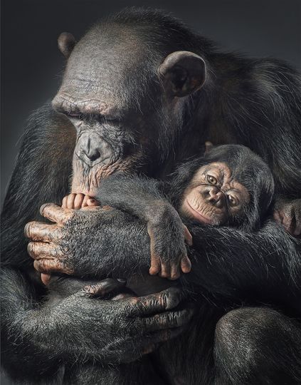 Tim Flach.