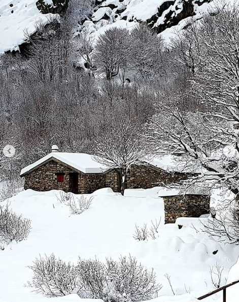 Корсика, Франция. Фото скриншот: instagram.com/station.de.ski.ghisoni.corse/
