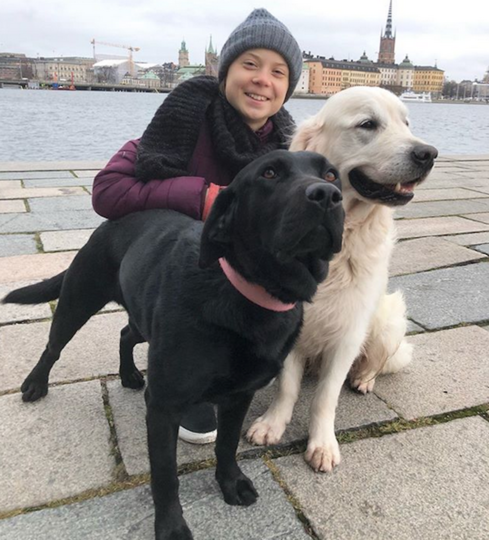Грета Тунберг. Фото скриншот @gretathunberg