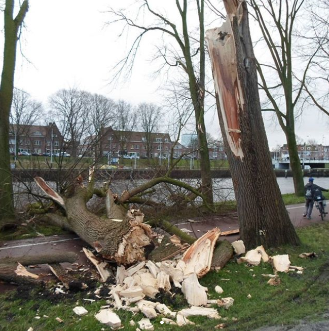 Ураган в Голландии. Фото Instagram @fanteality