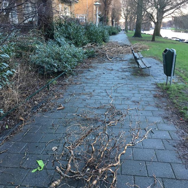 Амстердам. Фото Instaram @m.f.gardner