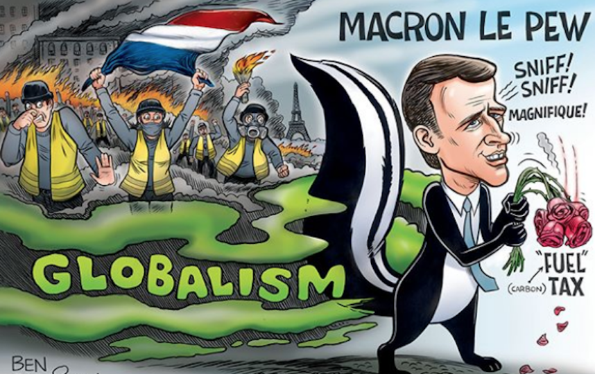 Иллюстрация к протестам «жёлтых жилетов» во Франции. Президент Макрон в образе скунса. Фото Скриншот instagram@ grrrgraphics