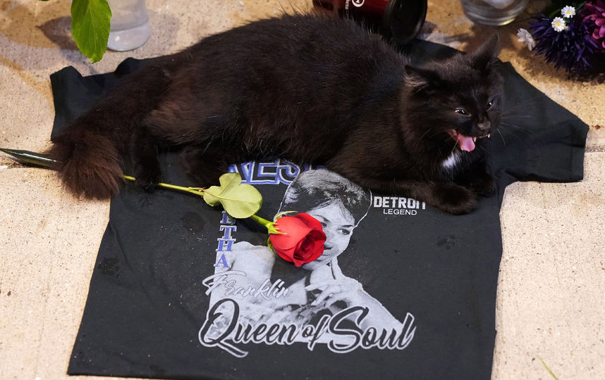 К звезде Ареты Франклин на Аллее славы в Лос-Анджелесе несут цветы , мягкие игрушки и футболки с портретом Франклин. Фото AFP