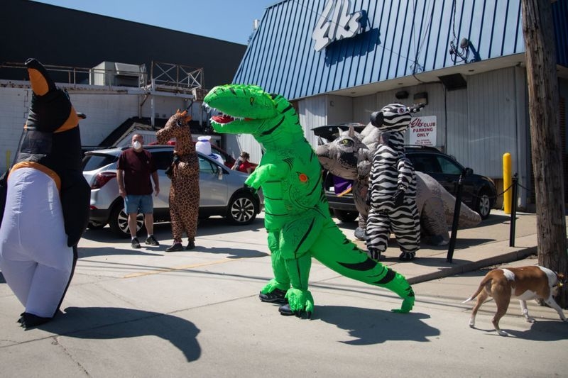 Динозавр Рекс не одинок, у него есть друг. Он тоже тираннозавр, только зелёного цвета. Фото AFP