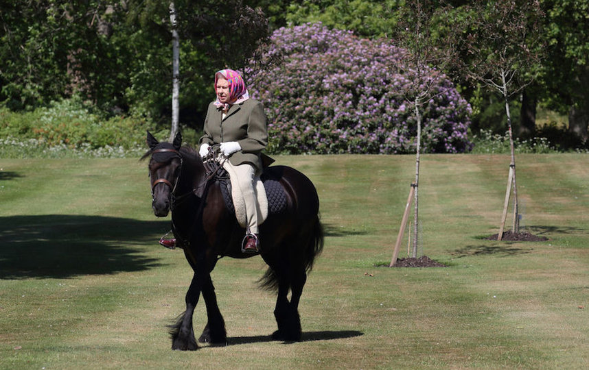 Королева Елизавета II в самоизоляции катается на лошади: фото