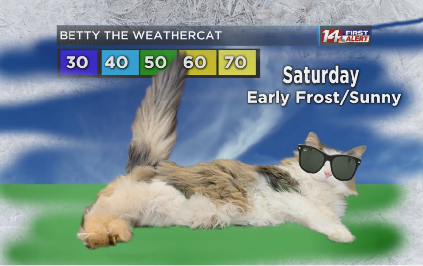 Фото со страницы ведущего. Фото https://www.facebook.com/Jeff-Lyons-14-News, "Metro"