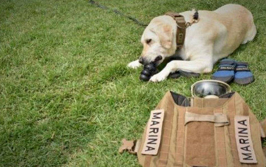 Фрида получила своё имя в честь известной мексиканской художницы Фриды Кало. Фото Cortesia, Jazmin Adrian.