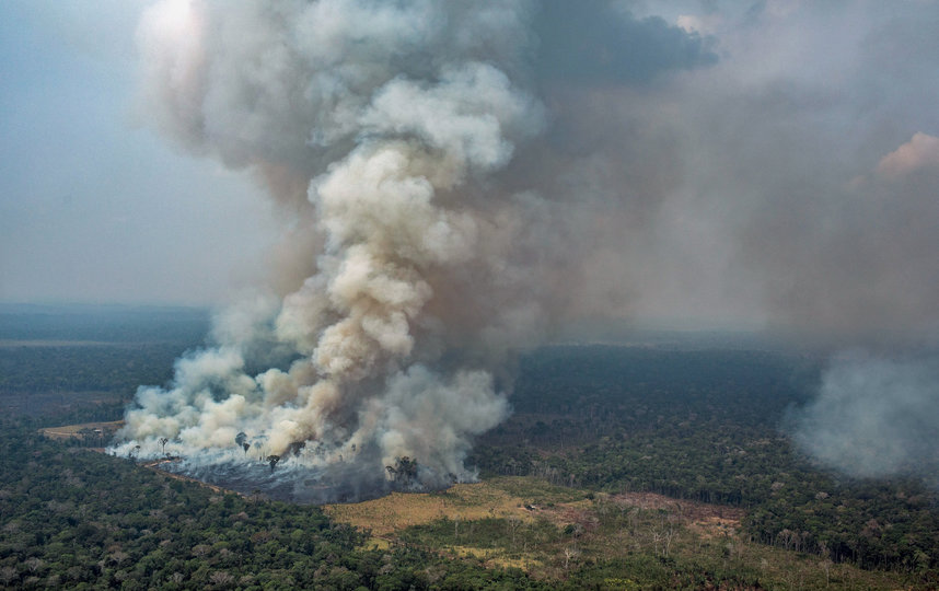 Лесные пожары в Бразилии достигли рекордных масштабов. Фото AFP