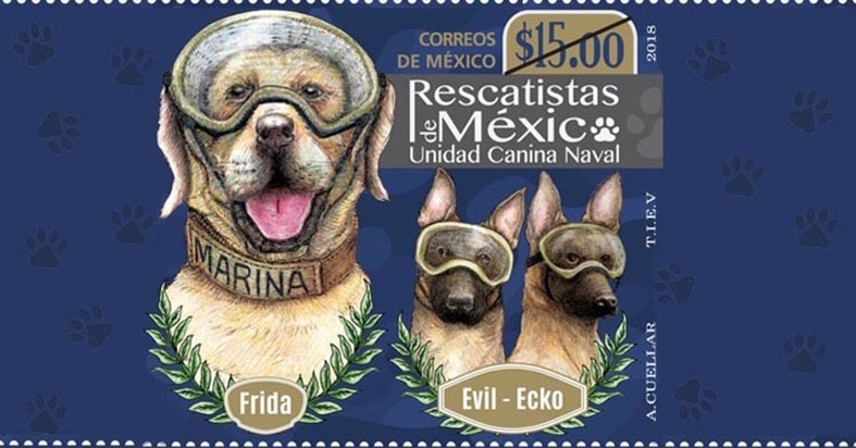Почтовая марка, на которой изображены знаменитые собаки-спасатели Мексики: Фрида, Эвил и Эко. Фото Cortesia, Jazmin Adrian.