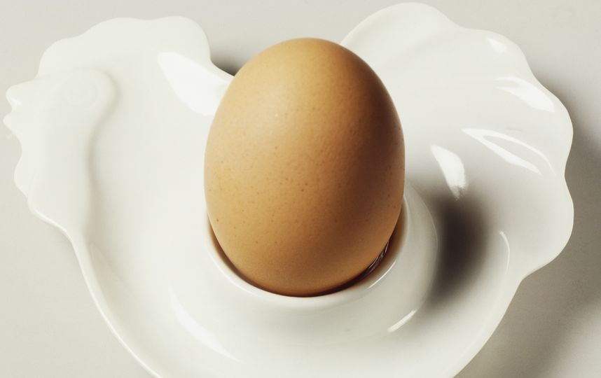 Куриное яйцо побило рекорд Instagram: самые яркие мемы от пользователей Сети