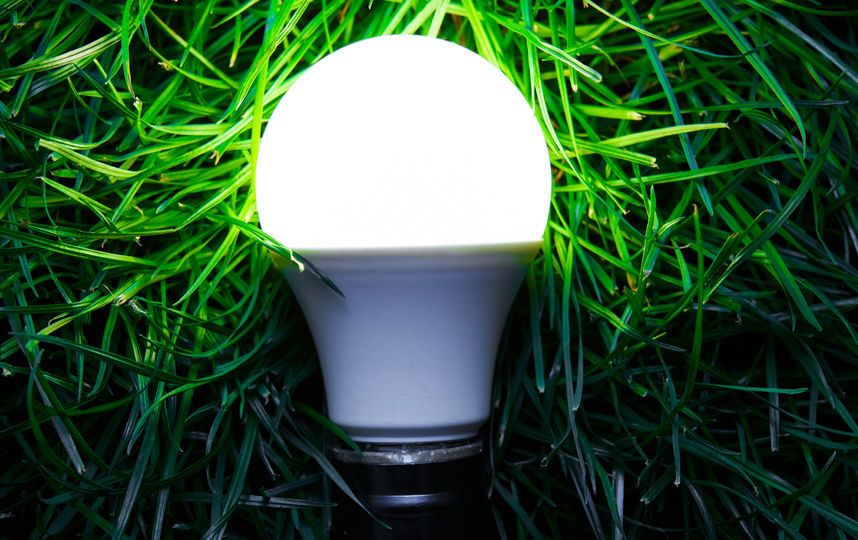 Лампочка. Фото istock