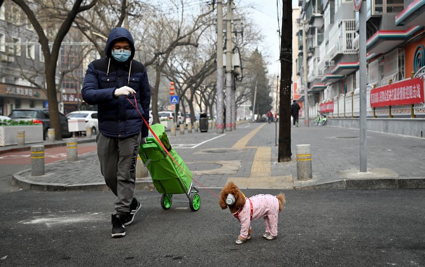 Собаководы надевают маски и на своих питомцев. Фото AFP
