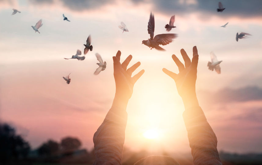 Istockphoto.